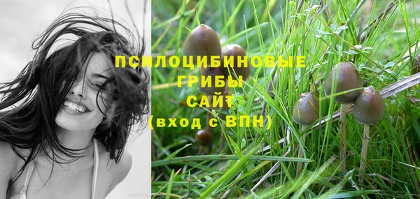 прущие крисы Аркадак