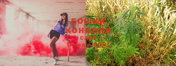 прущие крисы Аркадак