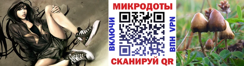 Псилоцибиновые грибы мицелий  blacksprut tor  Магадан 